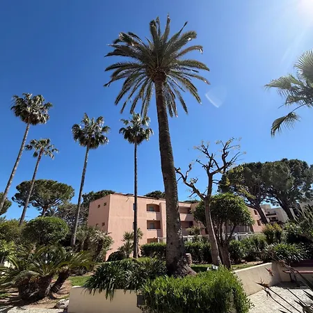 Entre Cannes Et Antibes *