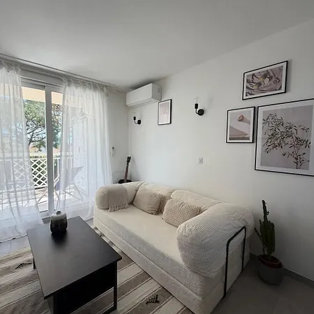 Apartment Entre Cannes Et Antibes *