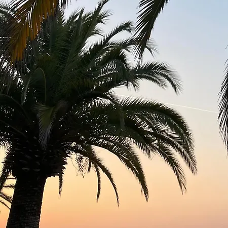 Entre Cannes Et Antibes *