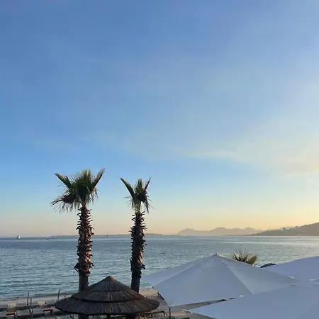 Entre Cannes Et Antibes * Vallauris